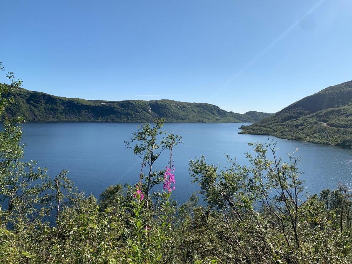 Hoyanger 3 Roms Leilighet Exterior foto